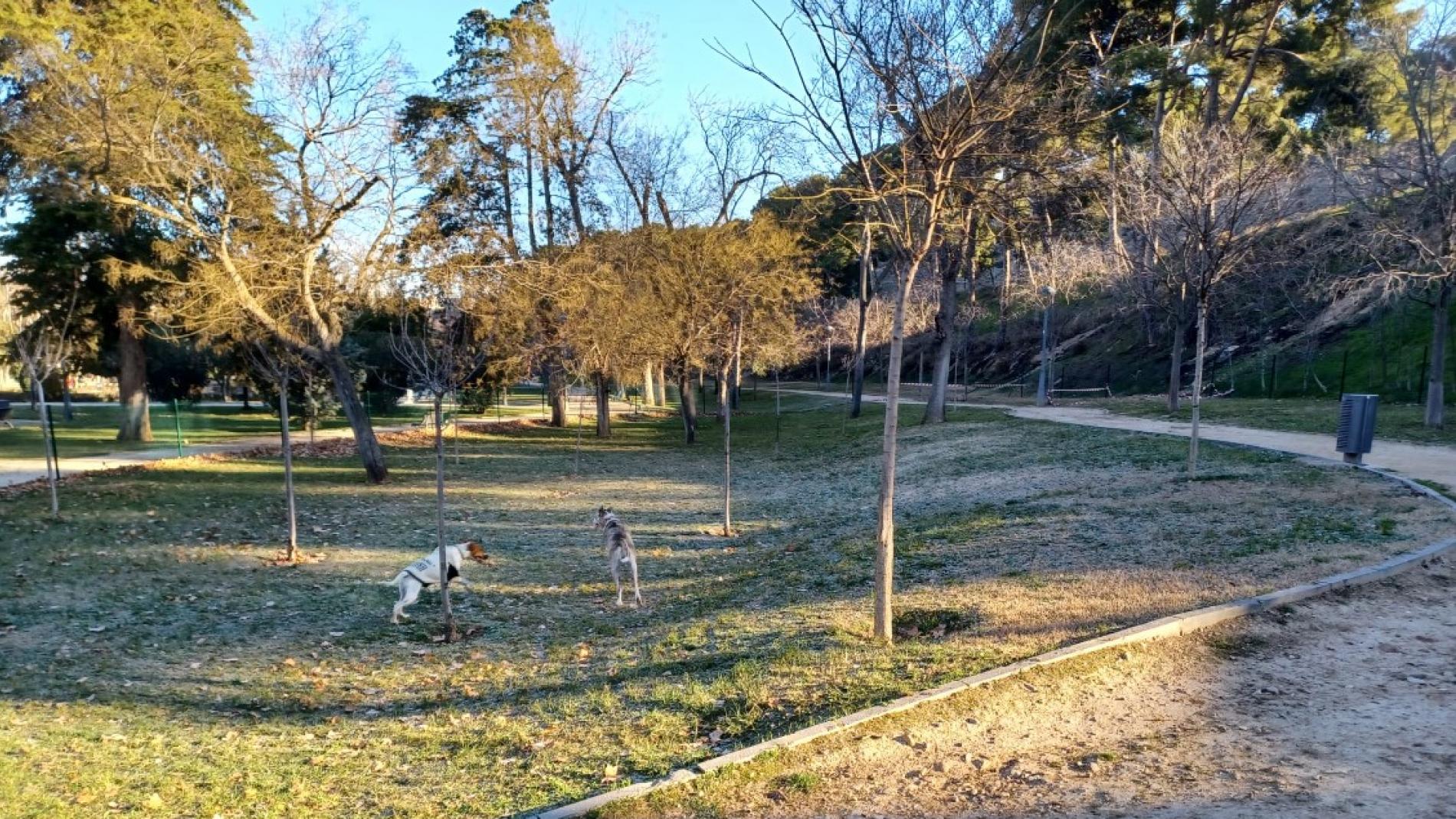 Conoce el nuevo parque para perros en Aragón; es gratis