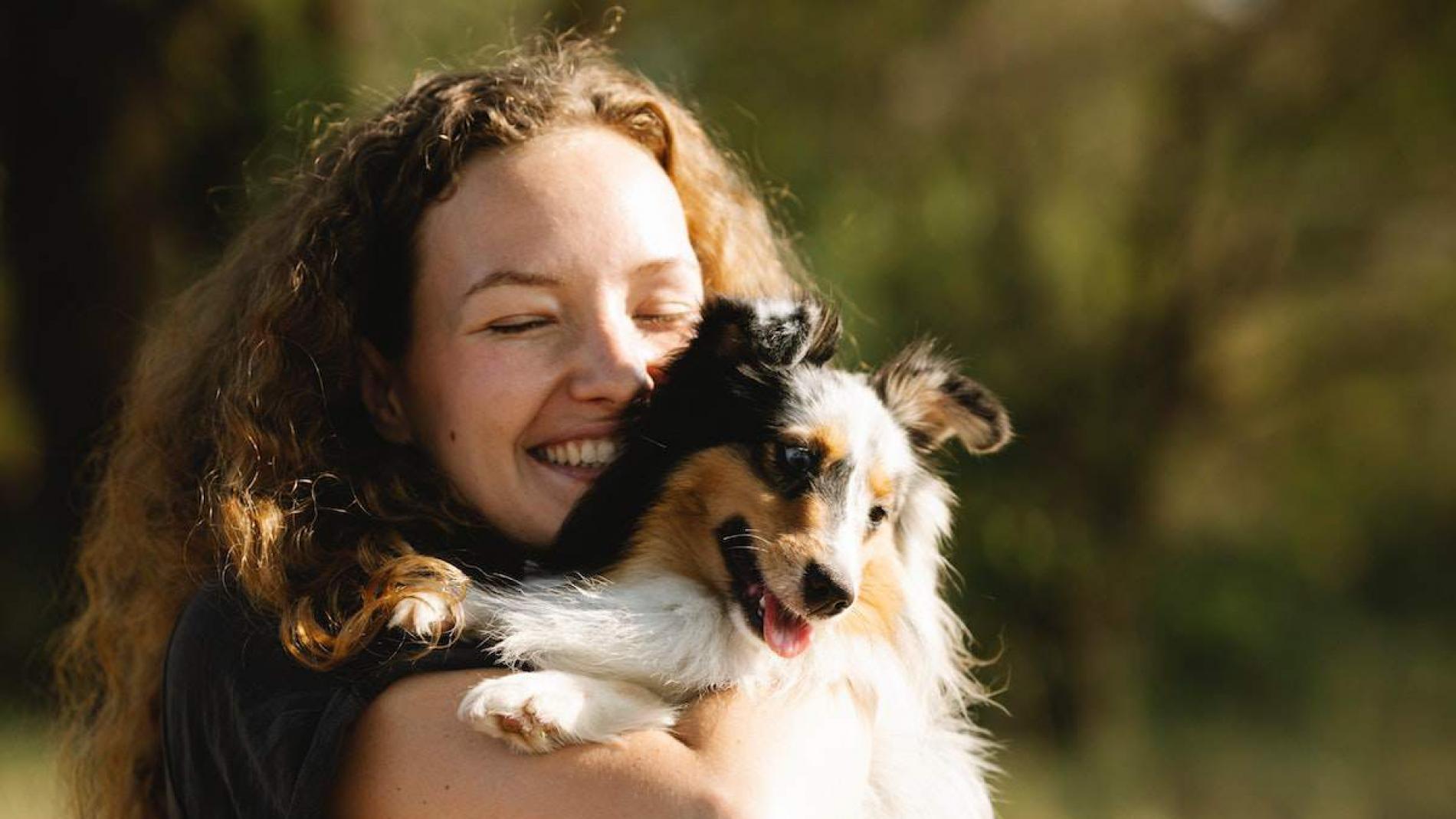 a que edad se puede dejar un cachorro 8 horas