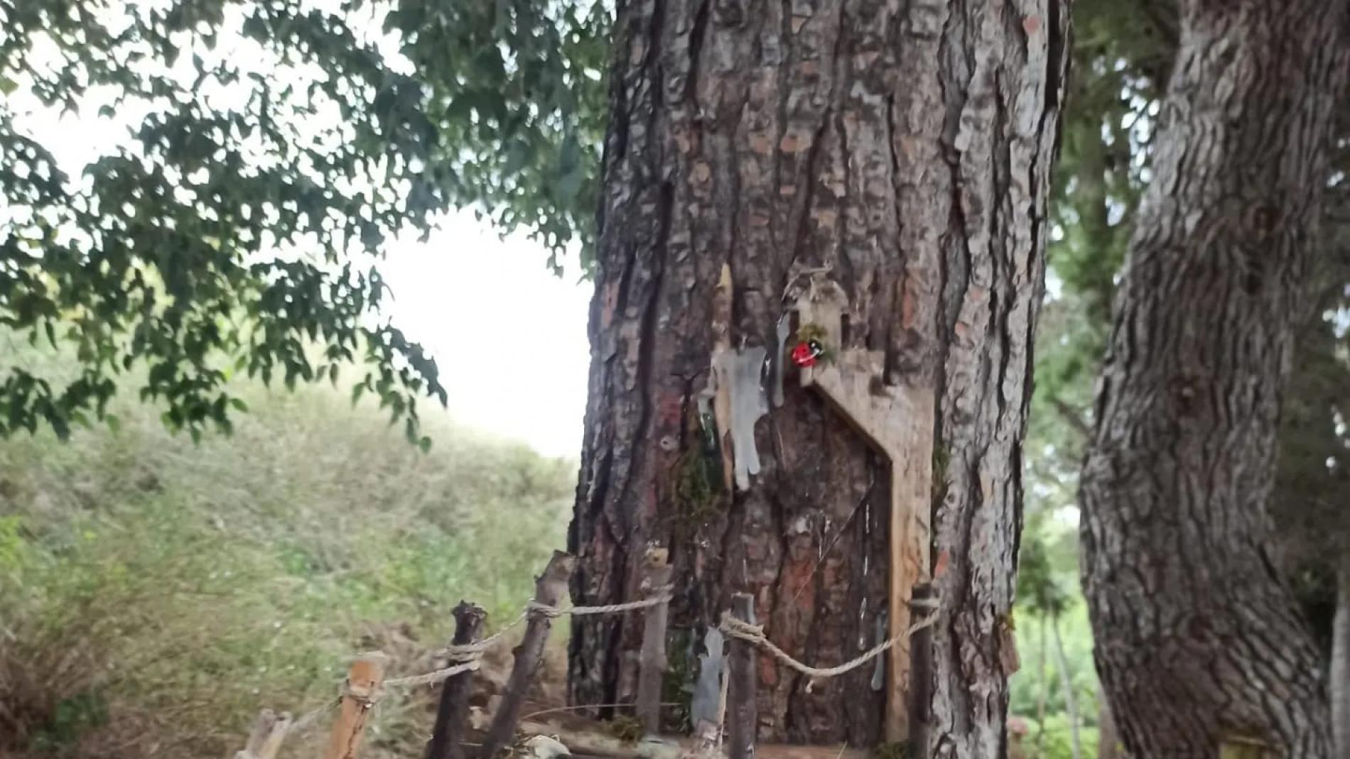 Bureta bosque encantado, ¡y mucho más! Nuestra experiencia