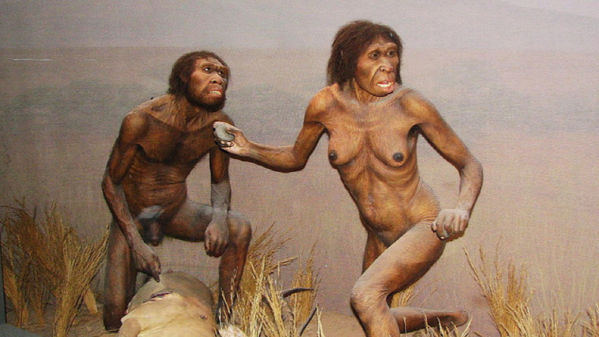 Neanderthal Porn