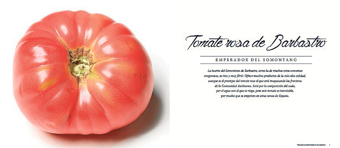 Las dos primeras páginas del capítulo analizan el tomate rosa de Barbastro.