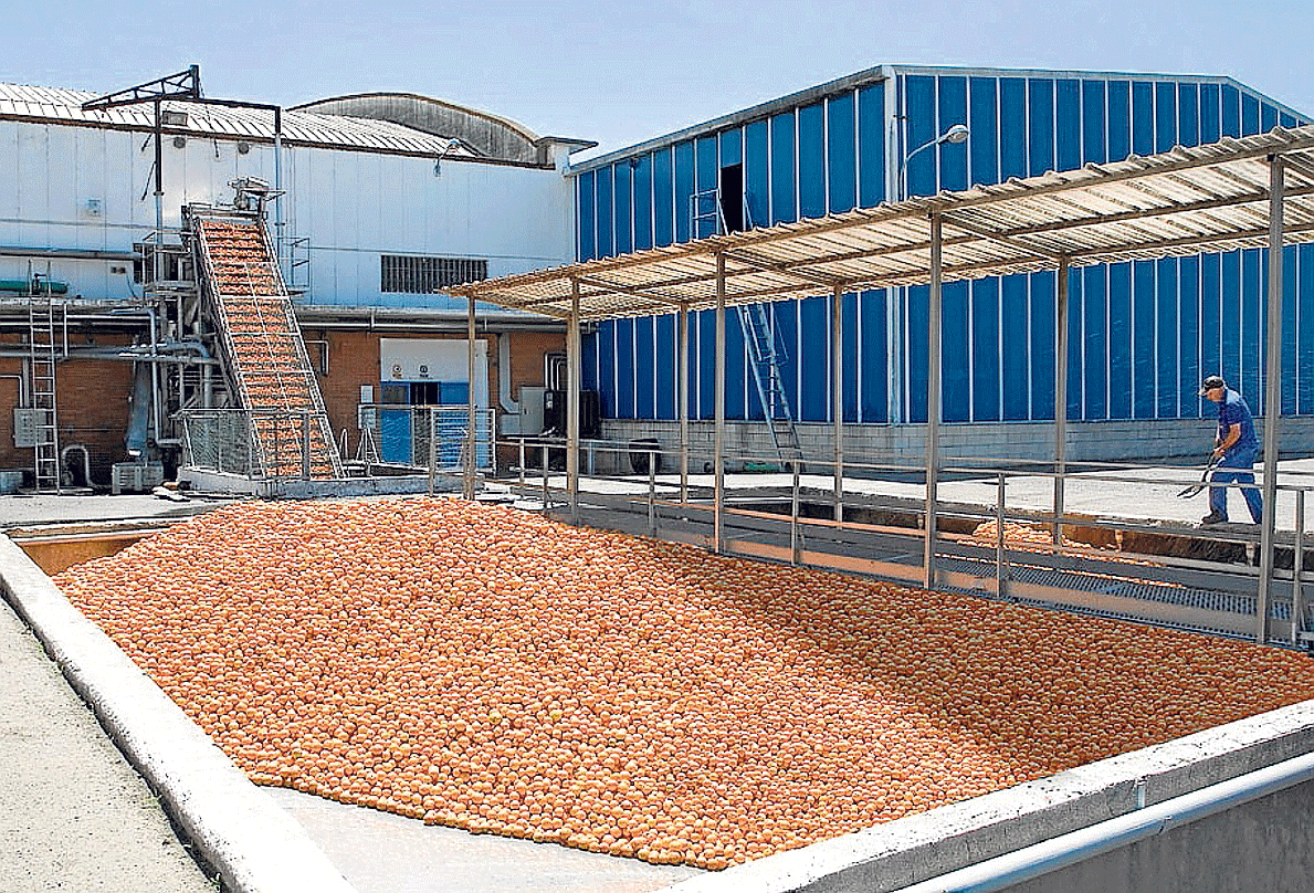Instalaciones de la planta de Zufrisa en la localidad zaragozana de Calatorao