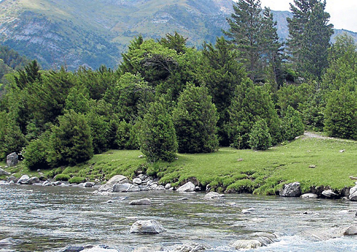 El primer tramo del Ara -en la foto, a su paso por Bujaruelo, es uno de los propuestos como reserva fluvial
