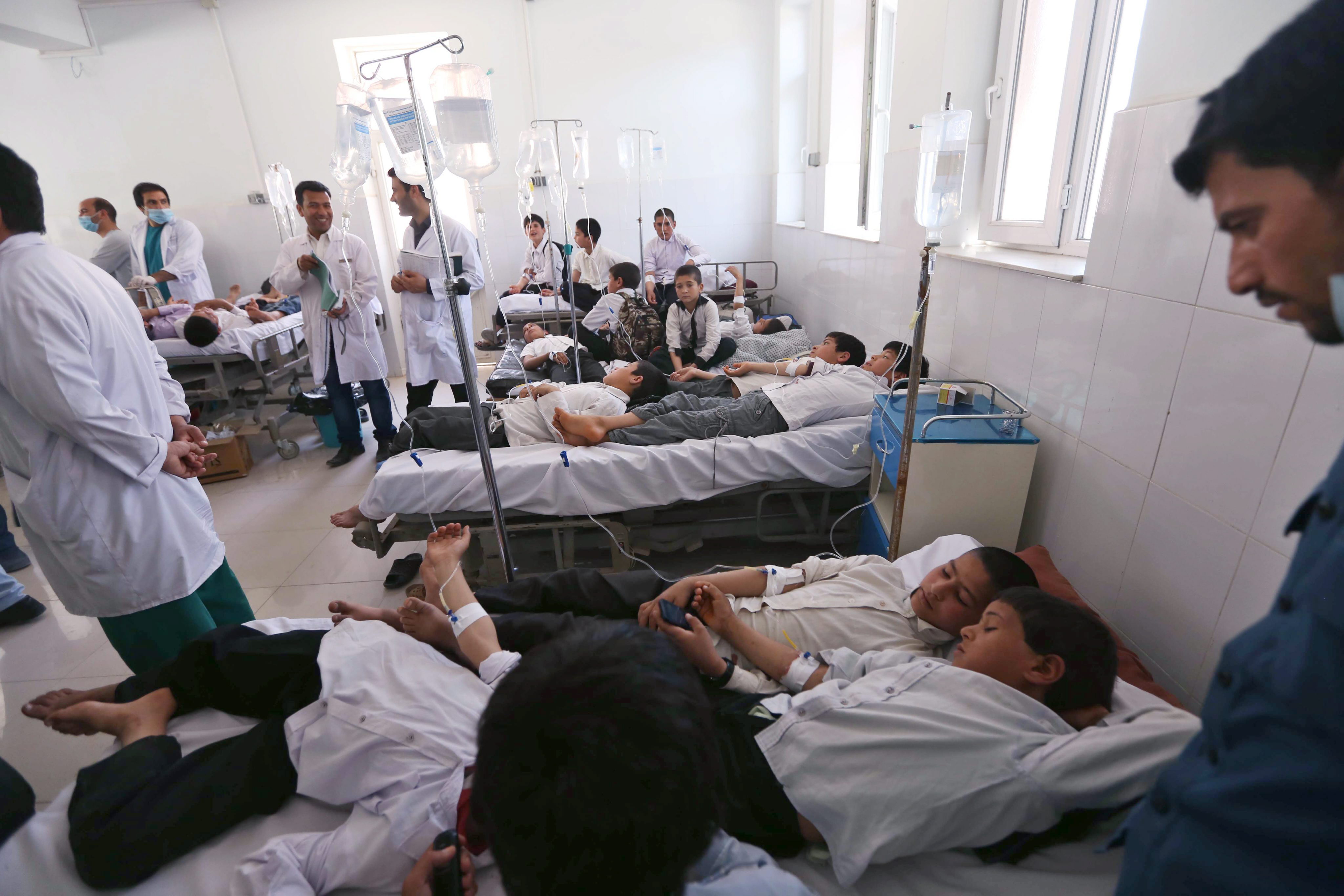 mascotas examen de próstata hospitales sicilia documental