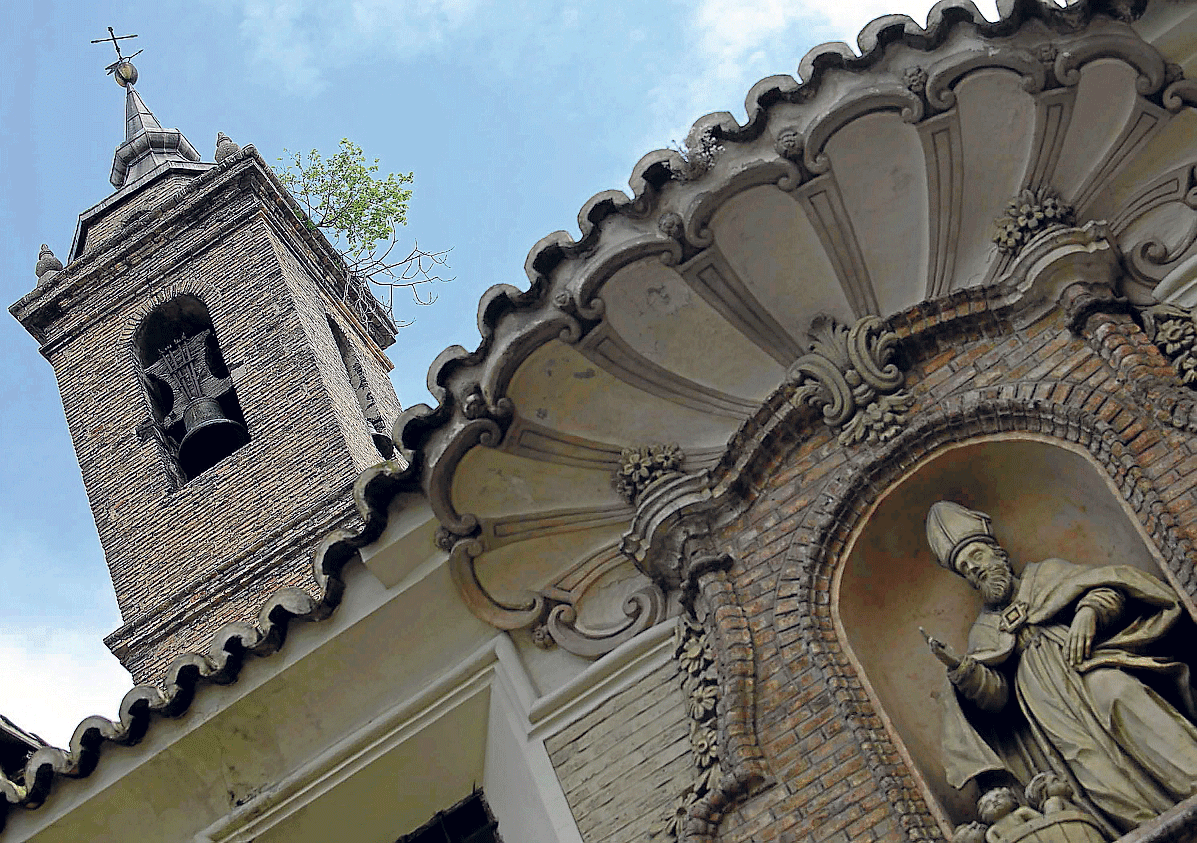 Un arbusto se ha hecho fuerte en lo alto de la torre de la iglesia de San Nicolás.