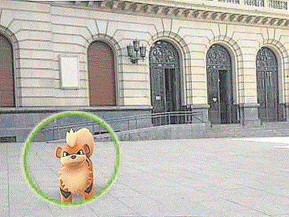 Uno de los cotizados Pokémon, a las puertas de la DPZ.