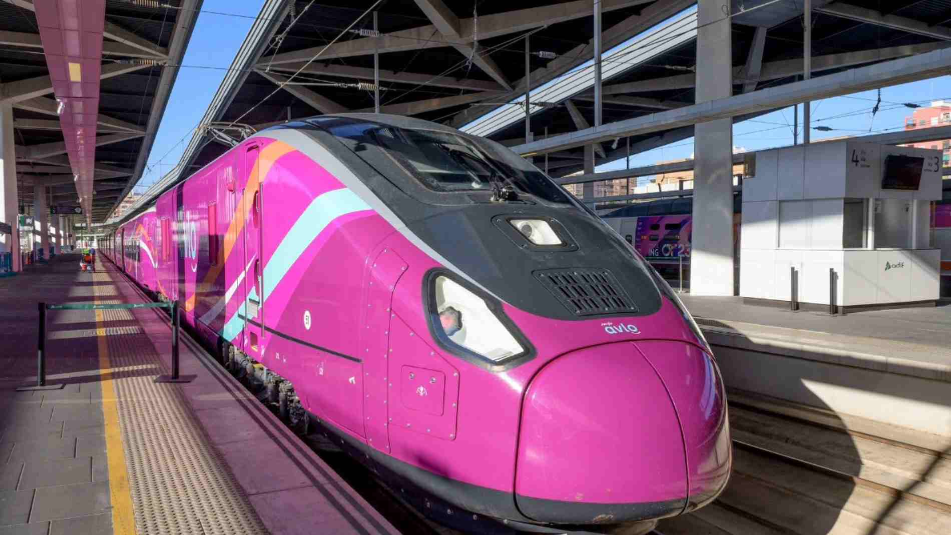 Renfe pone a circular 100 trenes 'Pet Friendly' para viajar con perros ...