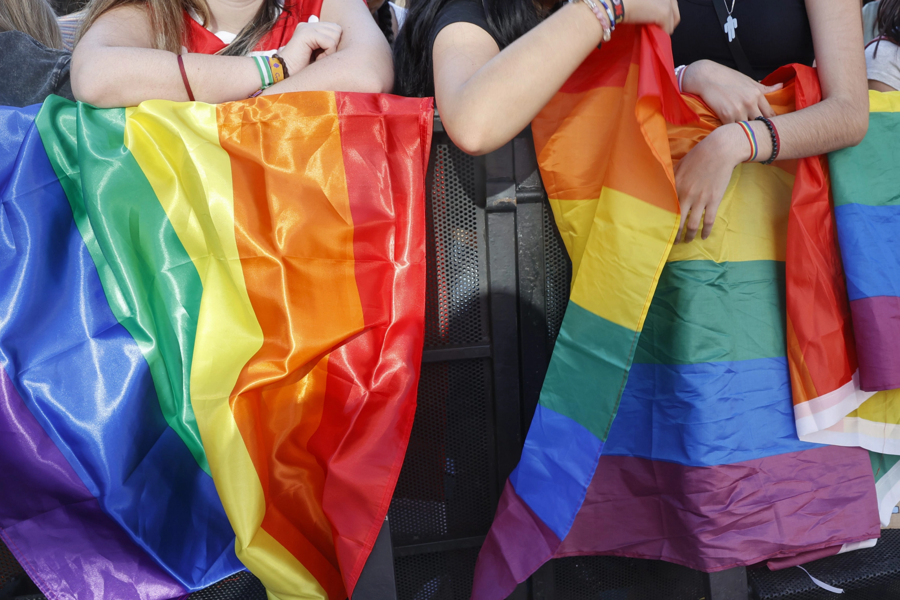 Indignación entre las asociaciones aragonesas tras eliminar el ‘Q+’ de ...