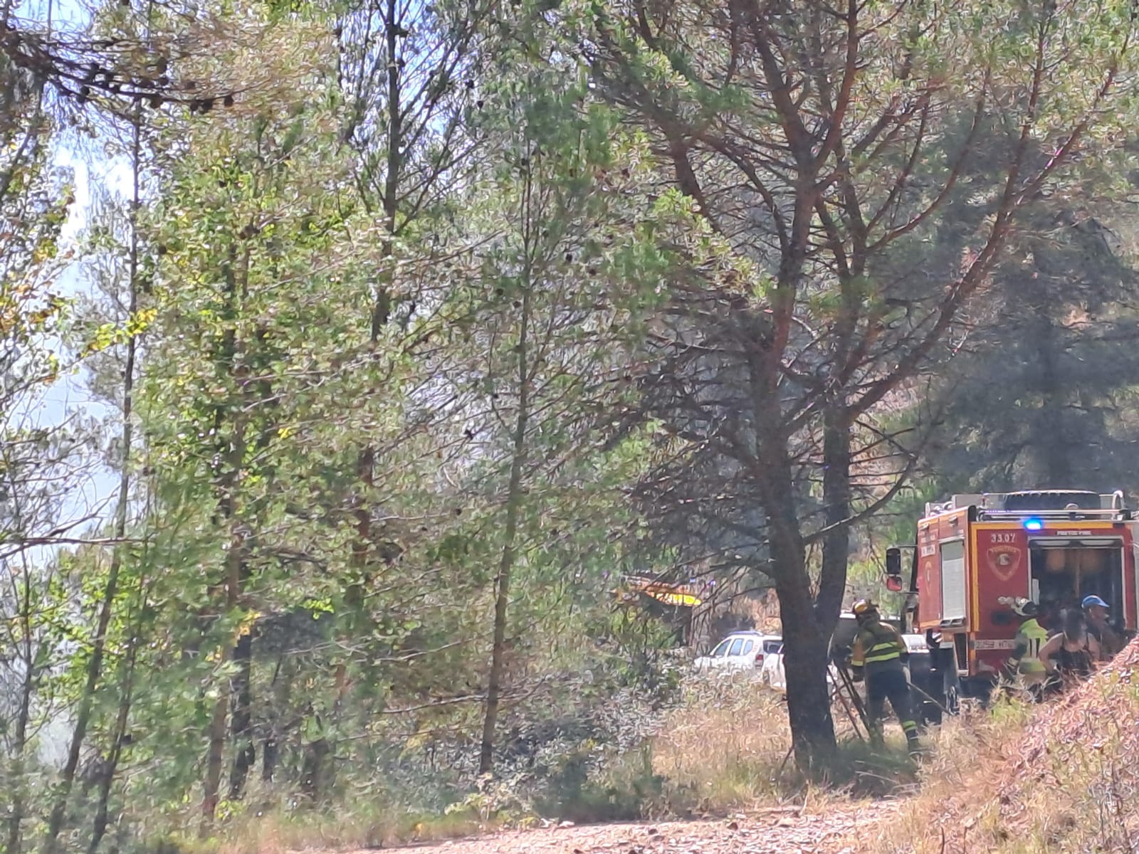 Controlado un pequeño incendio entre Alarba y Morata de Jiloca